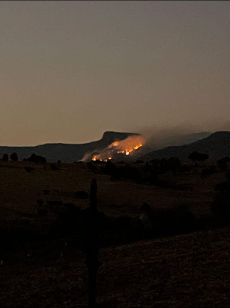 Combaten incendio forestal en la sierra de Canatlán.