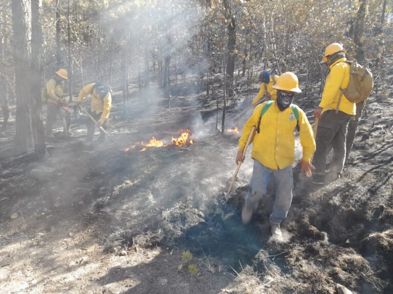 Controlado el incendio forestal en Canatlán.
