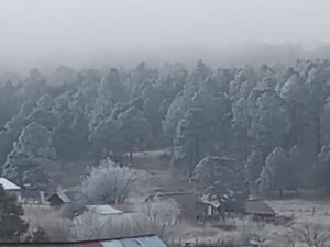 Así amaneció la comunidad Lirios de la Sierra.