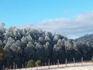 Bello paisaje en Marquezotes de Guadalupe.