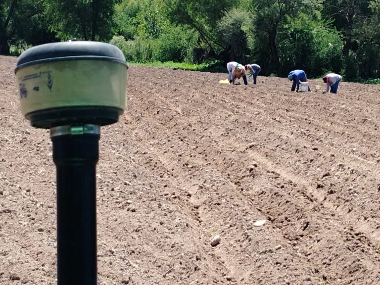 Iniciaron plantación de cebolla en Rodeo.