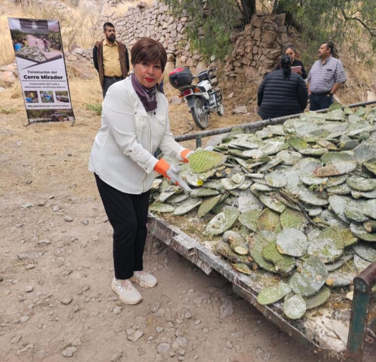 Dos obras que marcan cambios